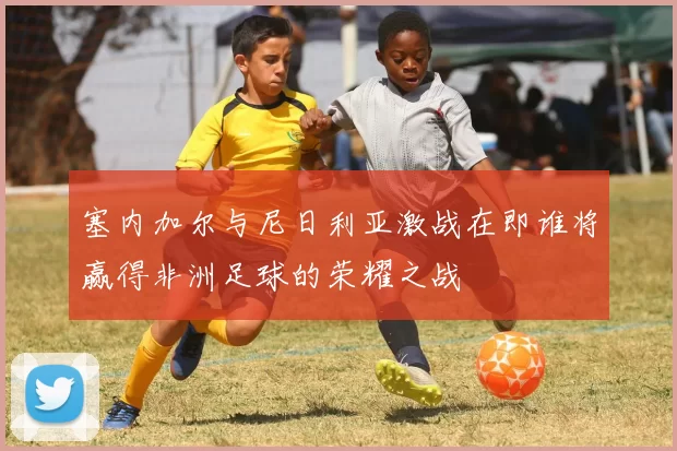 塞内加尔与尼日利亚激战在即谁将赢得非洲足球的荣耀之战