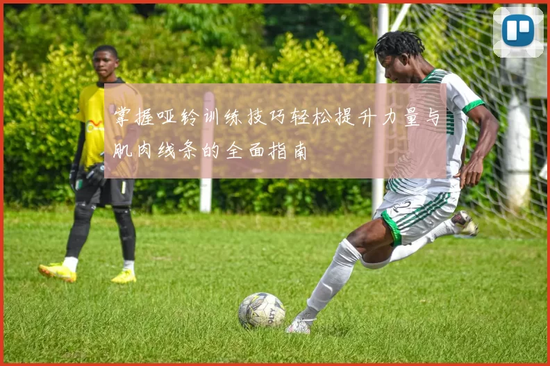 掌握哑铃训练技巧轻松提升力量与肌肉线条的全面指南