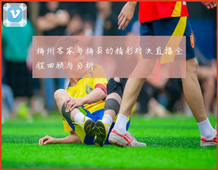 梅州客家与梅县的精彩对决直播全程回顾与分析